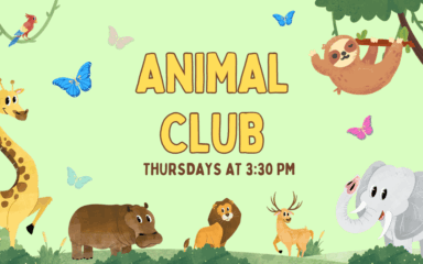 Animal Club image